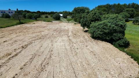Terreno rústico, localizado em marujo - bugalhos /alcanena