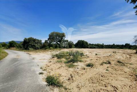 Terreno rústico, localizado em marujo - bugalhos /alcanena