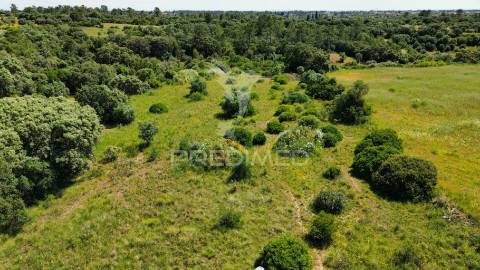 Terreno rústico, localizado em marujo - bugalhos /alcanena