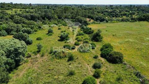 Terreno rústico, localizado em marujo - bugalhos /alcanena
