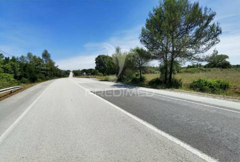 Terreno rústico, localizado em marujo - bugalhos /alcanena