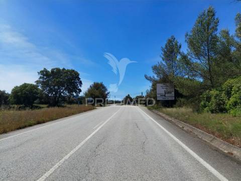 Terreno rústico, localizado em marujo - bugalhos /alcanena