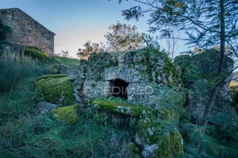 Quinta em belmonte (serra da estrela)