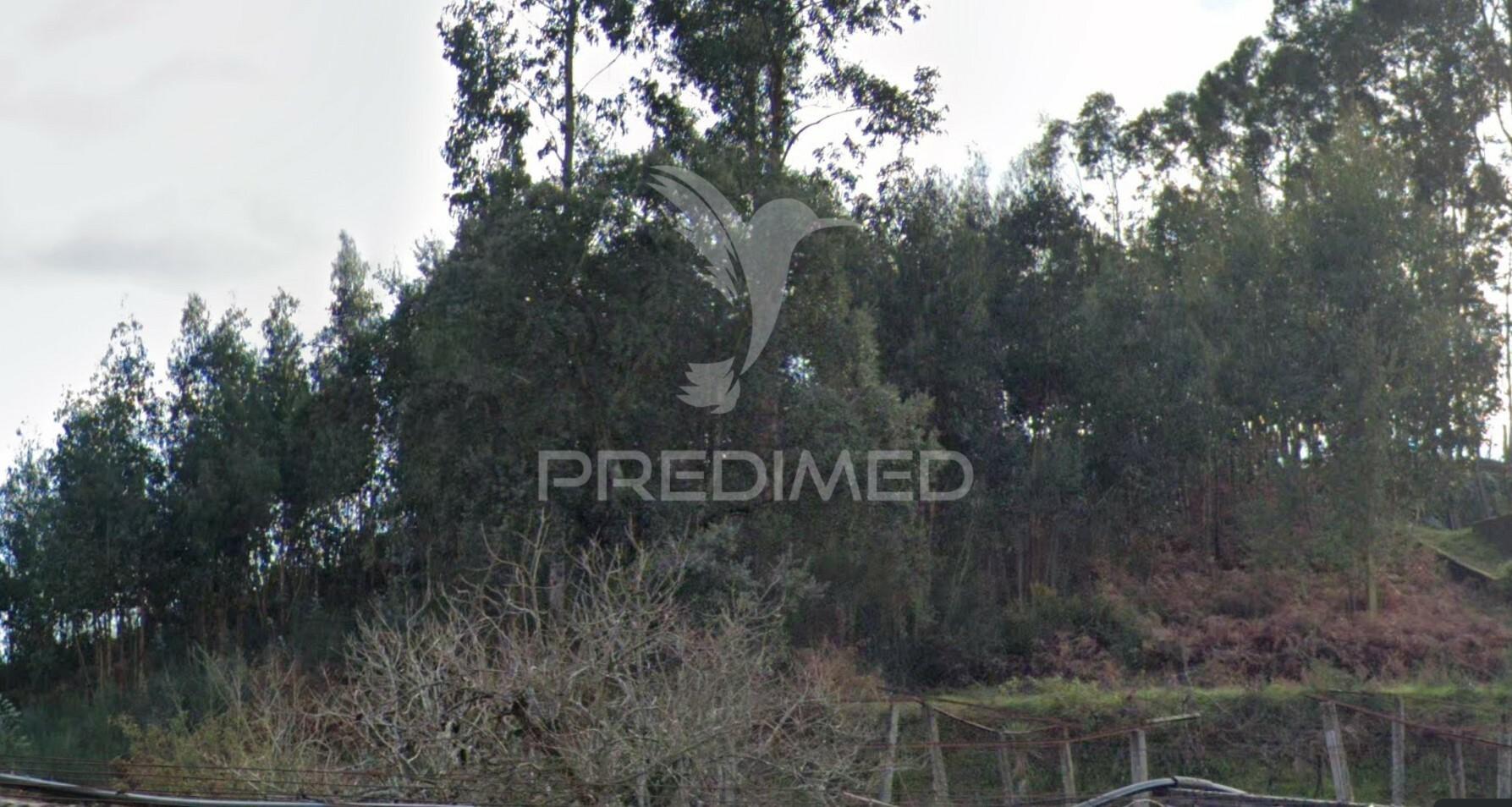 Terreno construção moradia