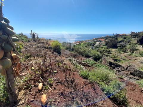 Terreno rustico gaula 1800 m2