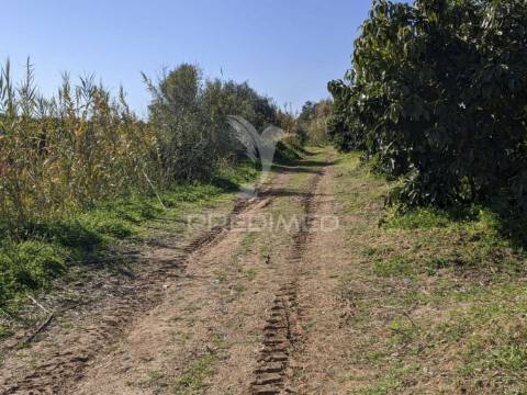 Terreno misto e ruína em vila nova de cacela, constroi 300m2