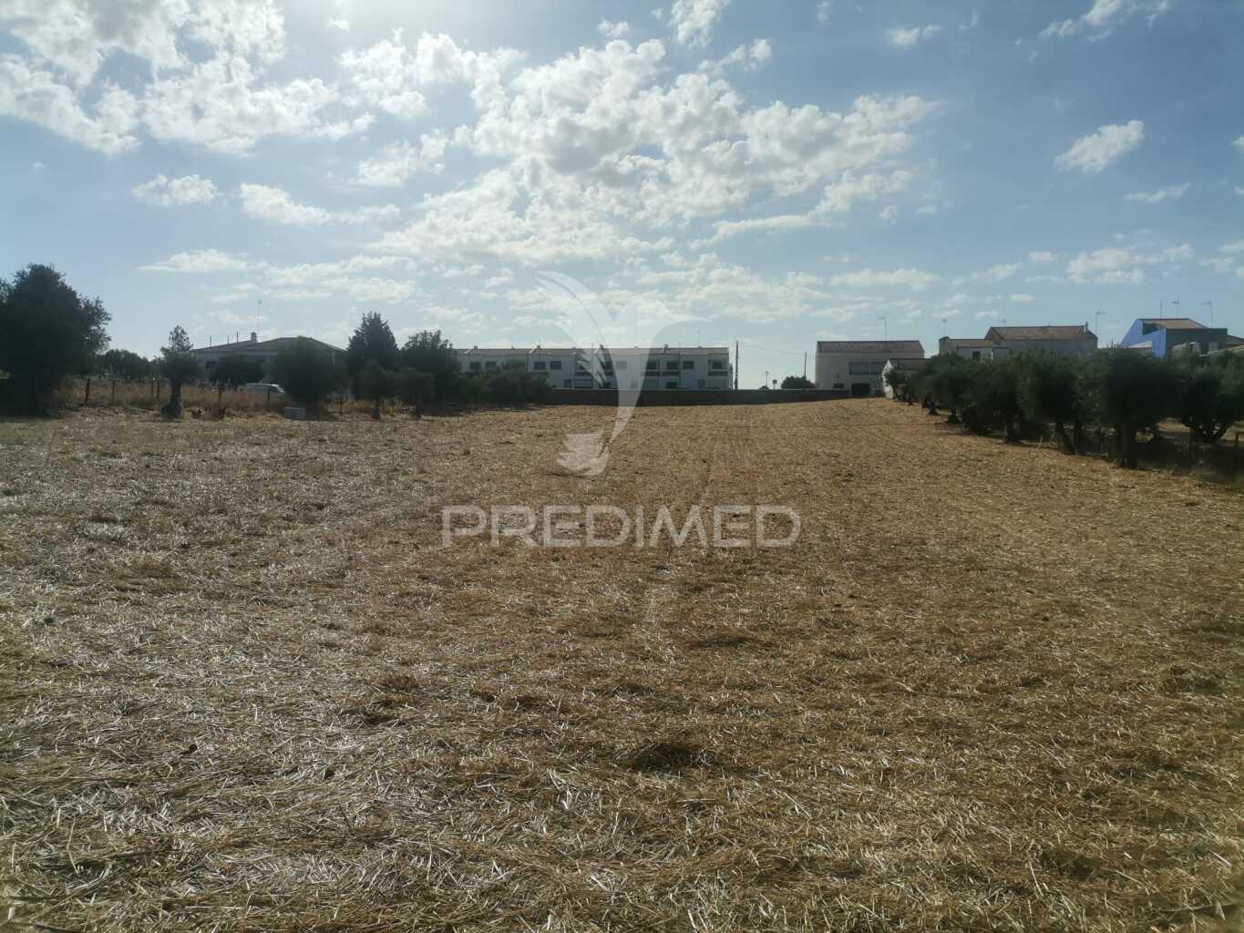 Terreno urbano em s. romão - vila viçosa