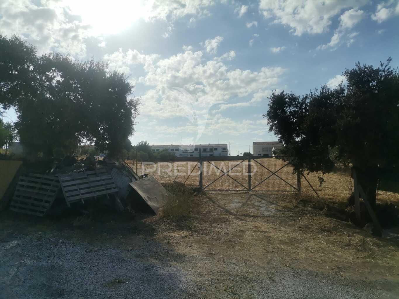 Terreno urbano em s. romão - vila viçosa