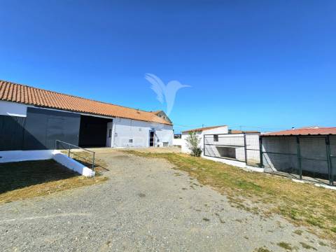 Moradia com dois armazéns e terreno