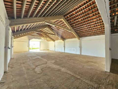 Moradia com dois armazéns e terreno