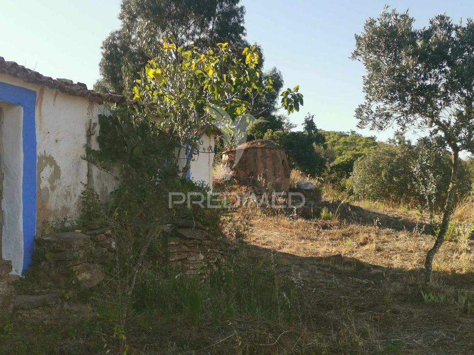 Ruina  com a pocibilidade de constroção de 2000 m2