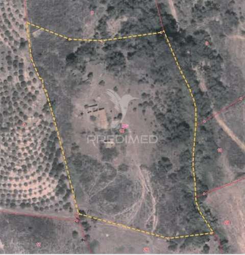 Ruina  com a pocibilidade de constroção de 2000 m2