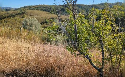 Ruina  com a pocibilidade de constroção de 2000 m2