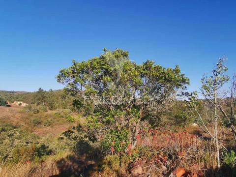 Ruina  com a pocibilidade de constroção de 2000 m2