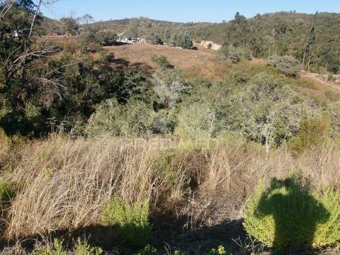 Ruina  com a pocibilidade de constroção de 2000 m2