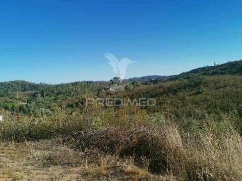 Ruina  com a pocibilidade de constroção de 2000 m2