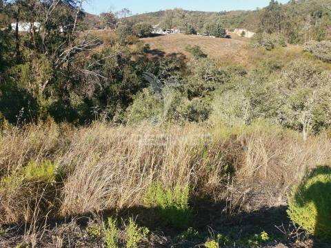 Ruina  com a pocibilidade de constroção de 2000 m2