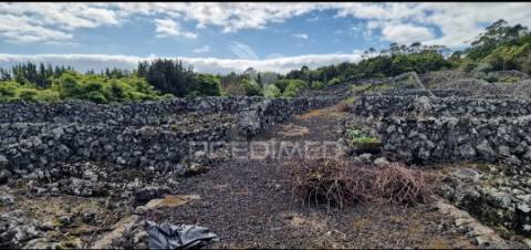 Terreno porto martins - ilha terceira