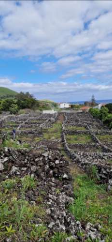 Terreno porto martins - ilha terceira