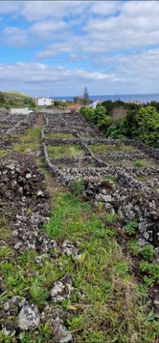 Terreno porto martins - ilha terceira