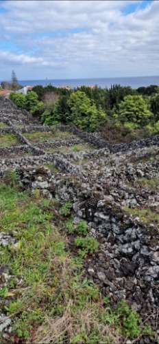Terreno porto martins - ilha terceira