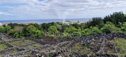 Terreno porto martins - ilha terceira