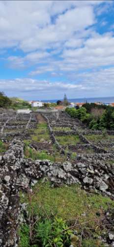 Terreno porto martins - ilha terceira