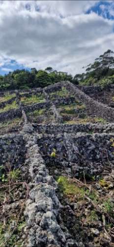 Terreno porto martins - ilha terceira