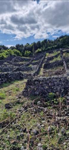 Terreno porto martins - ilha terceira