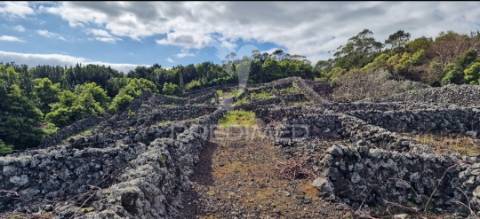 Terreno porto martins - ilha terceira