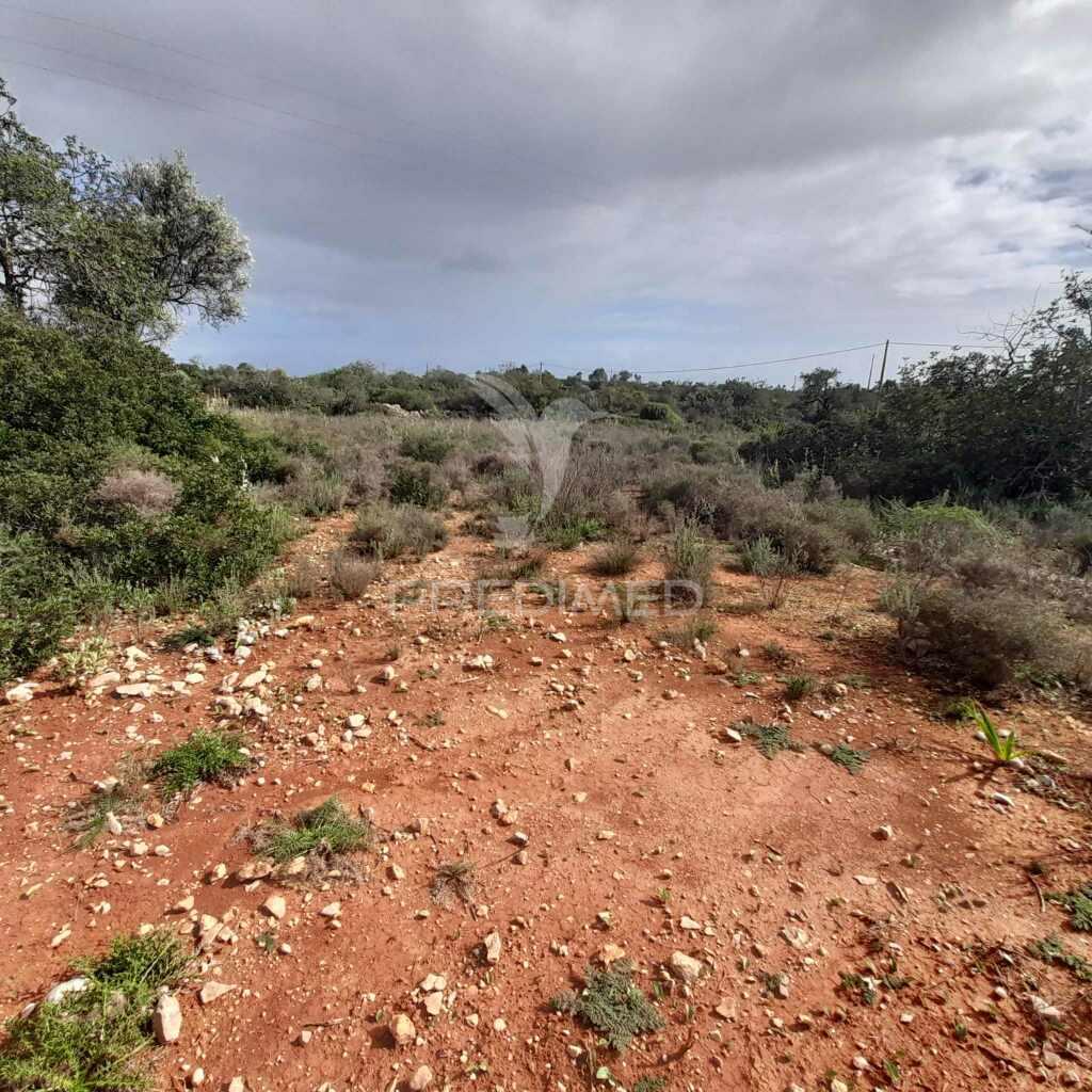 Terreno rustico  entre estói e moncarapacho