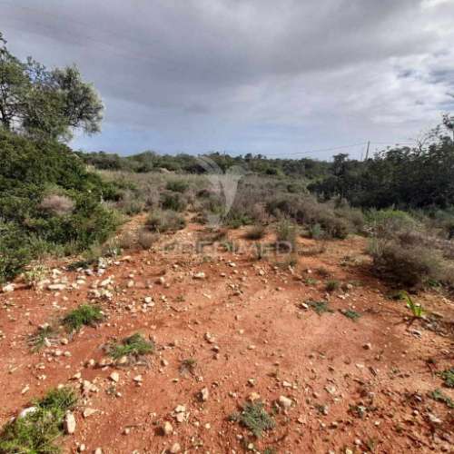 Terreno rustico  entre estói e moncarapacho