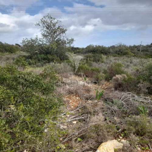 Terreno rustico  entre estói e moncarapacho
