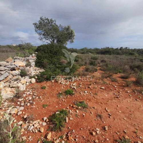 Terreno rustico  entre estói e moncarapacho