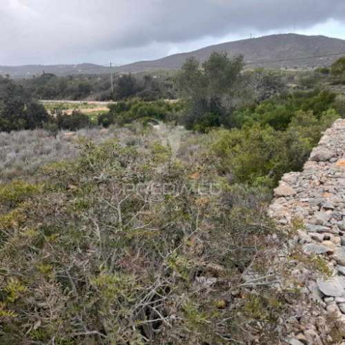Terreno rustico  entre estói e moncarapacho