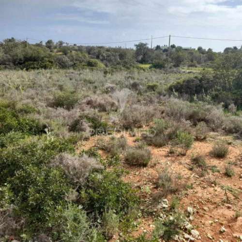 Terreno rustico  entre estói e moncarapacho