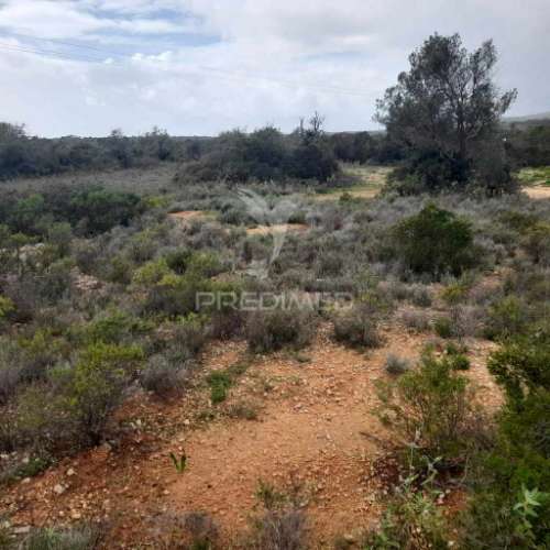 Terreno rustico  entre estói e moncarapacho