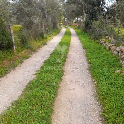 Terreno rustico  perto de olhão