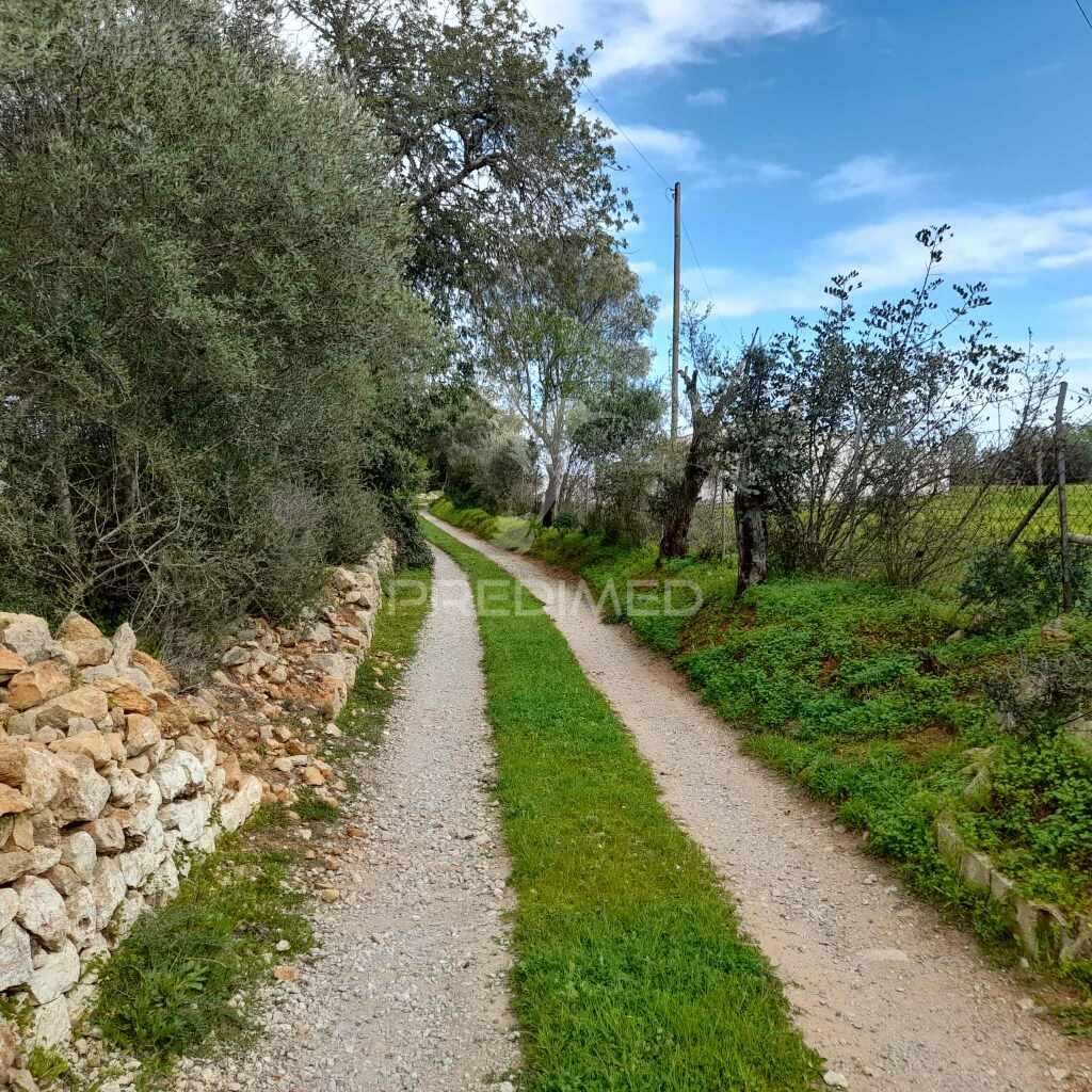 Terreno rustico  perto de olhão