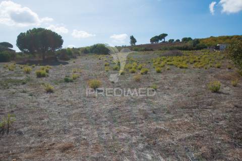 Terreno rústico com projeto inovador para turismo - alenquer