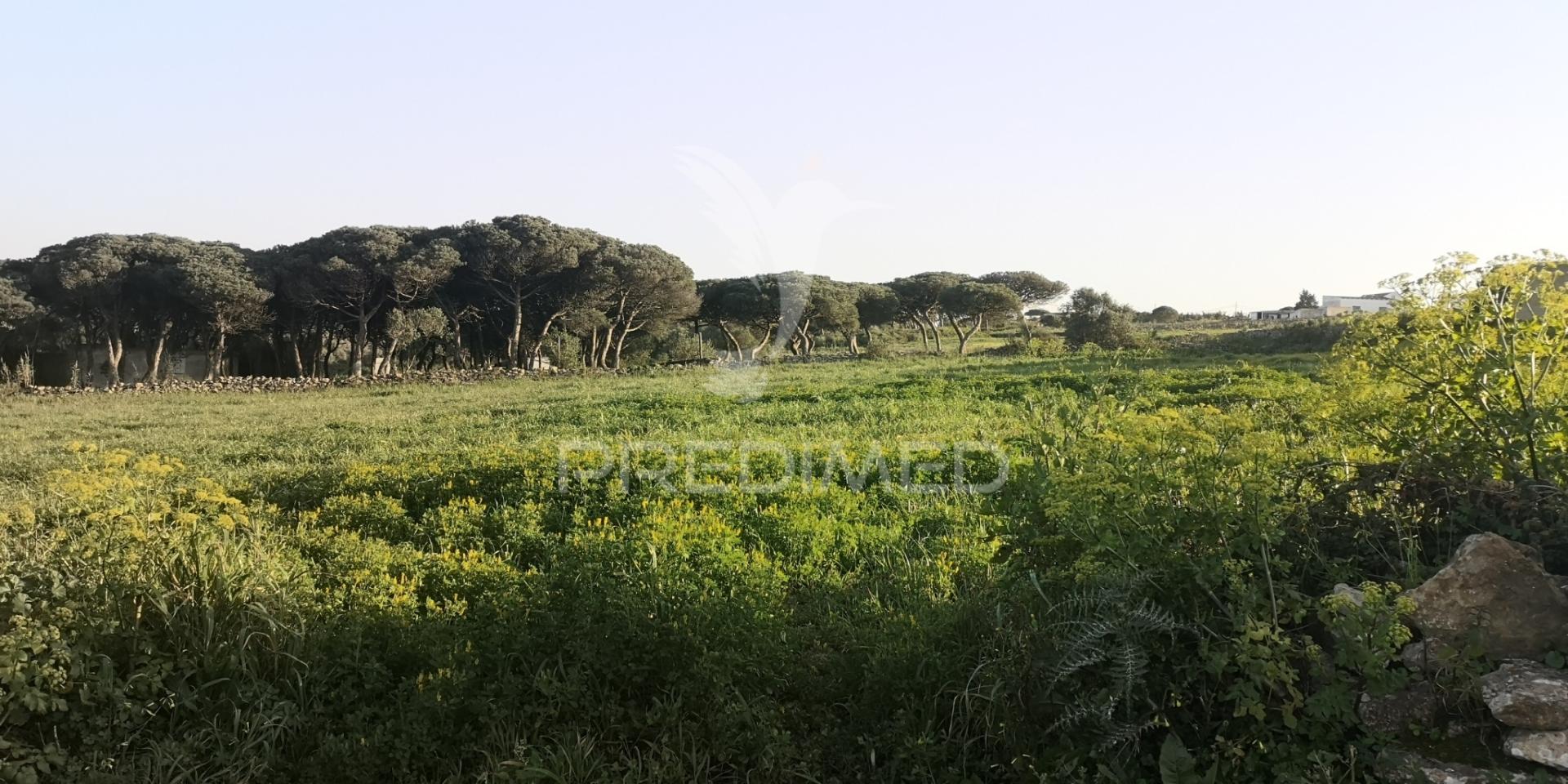 Terreno urbano para loteamento, perto das praias de sintra