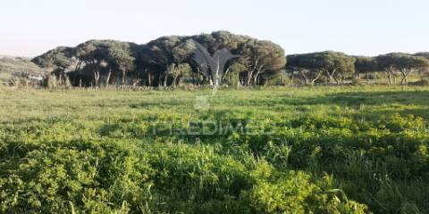Terreno urbano para loteamento, perto das praias de sintra