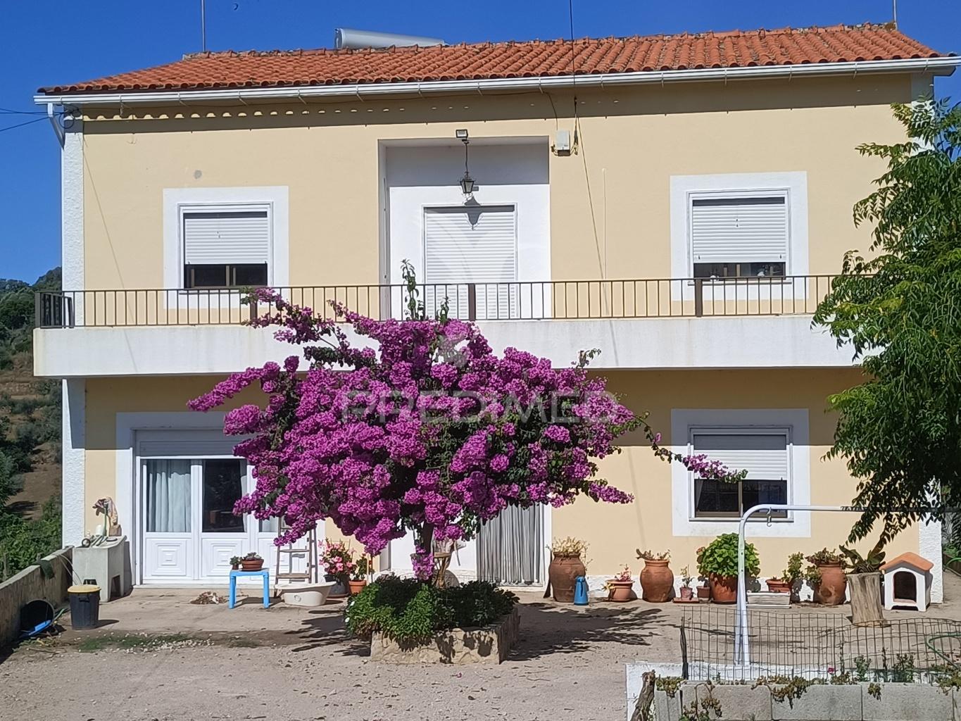 Quinta em zona nobre da cidade de portalegre