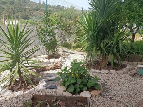 Quinta em zona nobre da cidade de portalegre