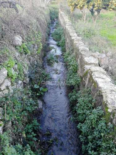 Quinta em zona nobre da cidade de portalegre