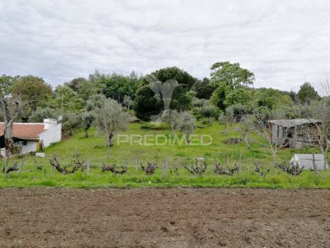 Quinta em zona nobre da cidade de portalegre