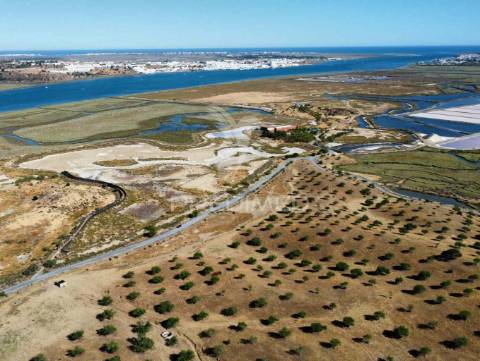Terreno à beira do guadiana, com 25ha, com projecto de hotel