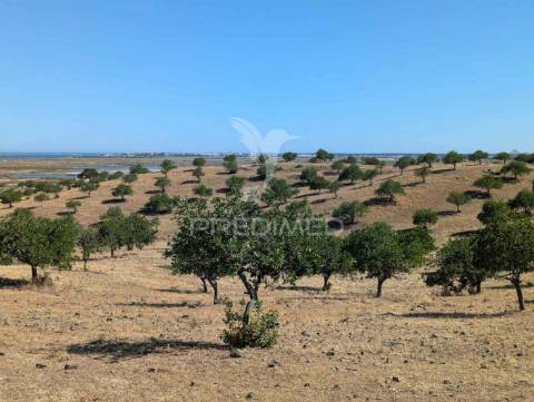 Terreno à beira do guadiana, com 25ha, com projecto de hotel