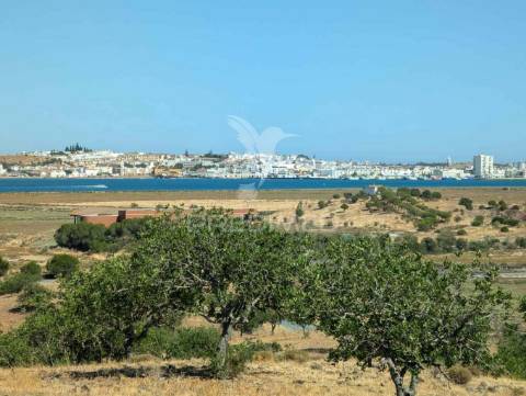 Terreno à beira do guadiana, com 25ha, com projecto de hotel