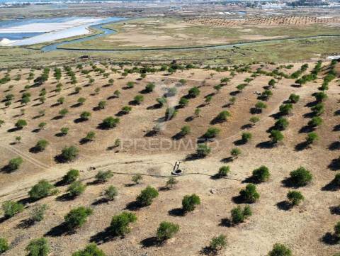 Terreno à beira do guadiana, com 25ha, com projecto de hotel